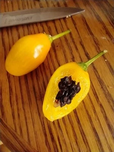 Manzano Pepper Yellow Teardrop 24 seeds FREE DELIVERY - Picture 1 of 23