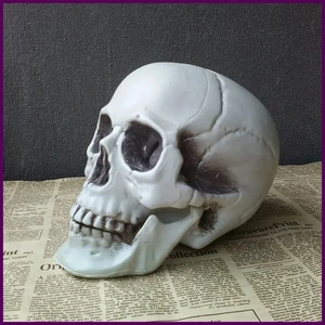 Decorazione teschio Halloween, teschio plastica realistico, scheletro testa, festa di Halloween - Foto 1 di 27