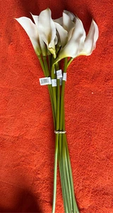 Calla Lilys Brautlilien Blumen Wohndeko Braut Hochzeitssträuße Torte 10. Dezember - Bild 1 von 1