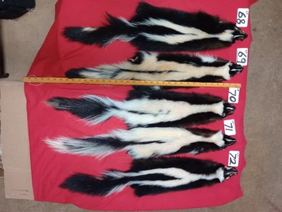 Piel de mofeta curtida invierno piel de animal piel buen cuero Foto 1 de 4