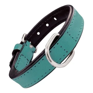 Hundehalsband Gloria Polsterung Turquoise 50 cm (50 x 2,5 cm) - Bild 1 von 7