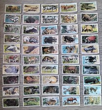 BROOKE BOND TEA - 'African Wildlife'. 1 full set of 50 loose cards. 