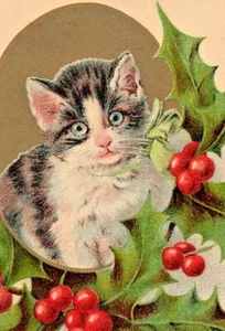 Gato de Navidad c1907, bayas de acebo, postal de colección, en relieve muy lindo - Imagen 1 de 3