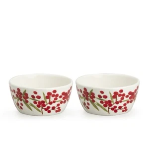 Red Berry Schalen 26 Unzen - NEU - 2er Set - Bild 1 von 3
