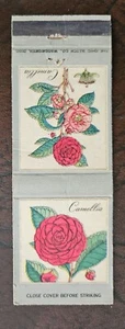 Camellia "Matchcover" - Picture 1 of 2