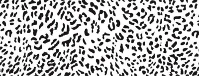 Kaisercraft, estampillas transparentes, manchas de guepardo, sello de animales, en la naturaleza, textura Foto 1 de 2