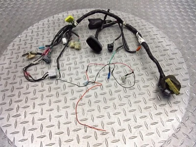 2006 03-09 Honda ST1300 ST1300P Main Engine Wire Harness Wiring Loom OEM - Imagem 1 de 4