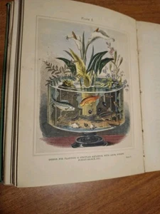 Vintage Old Antique Aquarium 1857 Ocean & River Gardens 20 Hand Colored Plates - Picture 1 of 24