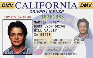 BACK TO THE FUTURE - Marty McFly California Drivers Licence (Repro) FREE POST - Picture 1 of 2