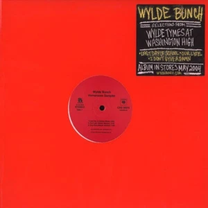 Wylde Bunch - Homeroom Sampler 2004-12’ Record - Picture 1 of 4