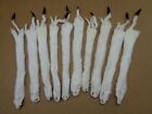 Wholesale lot of 10 #1 Quality L Tanned White Ermine/Weasel/Fur/Crafts/Trapping