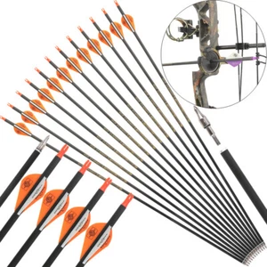 30" Pure Carbon Arrows SP300-600 Vanes Compoundbow Recurve Bow Target Hunting - Picture 1 of 25
