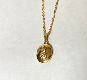 COLGANTE MEDALLÓN CUADRO OVALADO CHAPADO EN ORO Y COLLAR CADENA 16" - DISEÑO PIÑA - Imagen 1 de 5