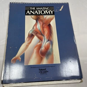 The Amazing Anatomy Pictorial For Dr’s Office RARE Vintage Display - Picture 1 of 8
