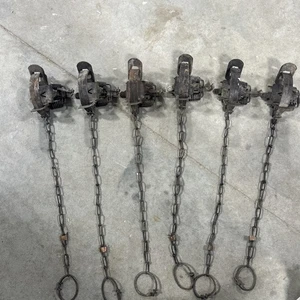 (6) Victor #1 1/2 Pinch Pan Coil Spring Traps Mink Raccoon Muskrat Fox Trapping - Picture 1 of 14