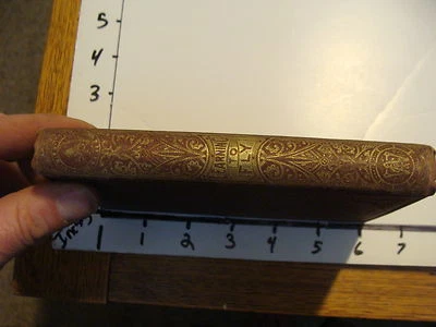 1860 ROBIN READBREAST SERIES LITTLE ROBINS LEARNING TO FLY  by Madeline Leslie - Image 1 of 4