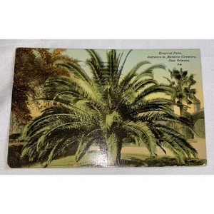 Juego de 2 postales vintage de Nueva Orleans c1912 usadas - Imagen 1 de 2