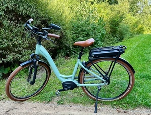 Riese & Müller E-Bike Swing City Damen - Bild 1 von 13