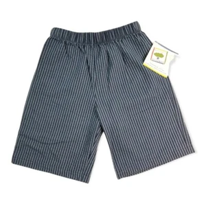 Mulberribush Shorts Boys 6 Blue Pull On Elastic Waist Striped Cotton Seersucker - Picture 1 of 7