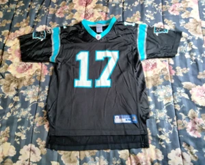 Carolina Panthers Jake Delhomme Youth Large (14-16) Reebok Football Jersey - Picture 1 of 13
