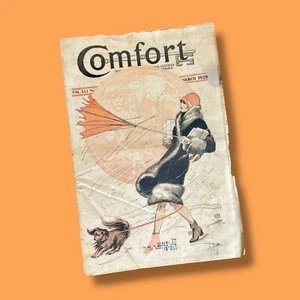 Comfort Magazine March 1929 Flapper Fashion EJP Cover 1920s VTG Lifestyle - Foto 1 di 10
