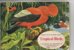 FULL SET OF BROOKE BOND TEA CARDS TROPICAL BIRDS 1961 IN ALBUM