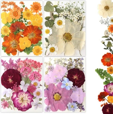 Pressed Flowers Bulk for Resin, Nail Art, Jewelry, DIY Crafts Kit Foto 1 de 4