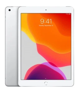 Apple iPad 7th Gen 10.2in 32GB Silver WiFi iOS A2197 MW752LL/A - Picture 1 of 1
