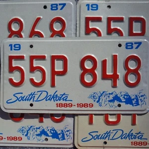 1987 SOUTH DAKOTA LICENSE PLATES -MT RUSHMORE Graphic Vintage License Plate Tags - Picture 1 of 4
