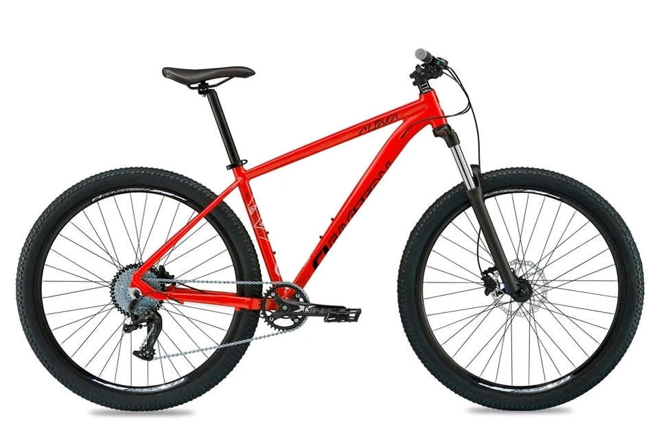 Alpaka 29 x 17 Mountain Bike - Image 1 of 1