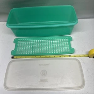 Vintage grüne Tupperware Sellerie/Gemüse Crisper Behälter 3-teilig komplett - Bild 1 von 6