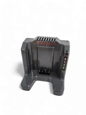 LADEGERÄT POWERWORKS P60UC 60V Nur Ladegerät auch passend zu Greenworks