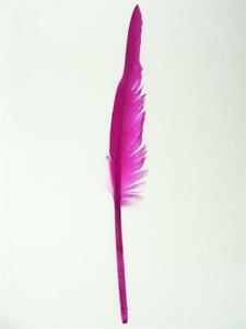 Duck Feather Decorative, 14-inch, 10-piece