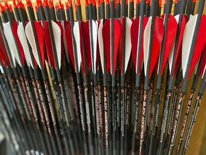 6 NEW Victory Arrows Carbon Trad 400 Spine Buck Addiction Feather Fletched 6pk - Picture 1 of 1