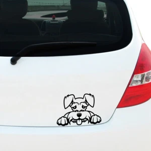 Peeking Schnauzer Vinyl Decal Sticker Car Window Bumper Pet Dog Puppy - Picture 1 of 39