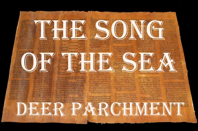 TORAH SCROLL BIBLE VELLUM MANUSCRIPT 250-300 YRS OLD YEMEN The exodus from Egypt - Image 1 of 4