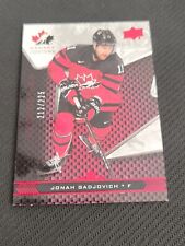 2018 Upper Deck Team Canada Juniors Hockey Cards 13