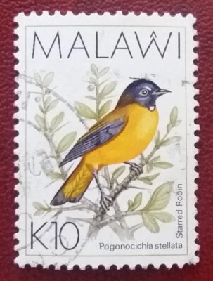 MALAWI 1994 10K Used Robin Mi 649 Scott 533A Superb 1252 - Image 1 of 2