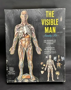 Vintage 1959 Renwal The Visible Man Skeleton Science Project Model Assembly Kit - Picture 1 of 9
