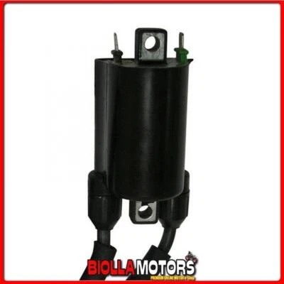 0057107 BOBINA AT ESTERNA KAWASAKI LTD (KZ1000K1/K2) 1000CC 1981/1982 12V-C.C. D Foto 1 de 4