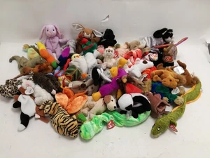 Großes Konvolut TY Beanie Babys Plüschtiere gemischte Tiere Sammlung - Bild 1 von 8