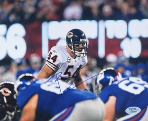 Brian Urlacher Signed Autographed Chicago Bears 8x10 Football Photo PSA/DNA COA - Picture 1 of 3