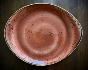 Steelite International Terracotta 9.75" x  8"  Freestyle Salad Plate England - Picture 1 of 5