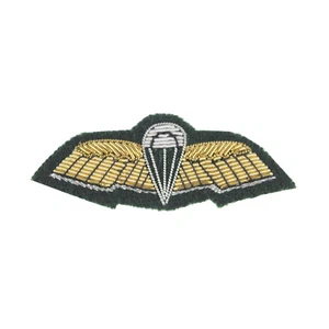 Special Boat Service Special Forces Communicator Wings Badge PARA Wings - Picture 1 of 1