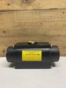 Actuador neumático de rack y piñón Keystone F89U-009 SR10 Pentair - Imagen 1 de 12