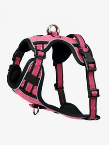LeMieux Winchester Dog Harness Watermelon | Lightweight Soft Padded Mesh Walking - Picture 1 of 3