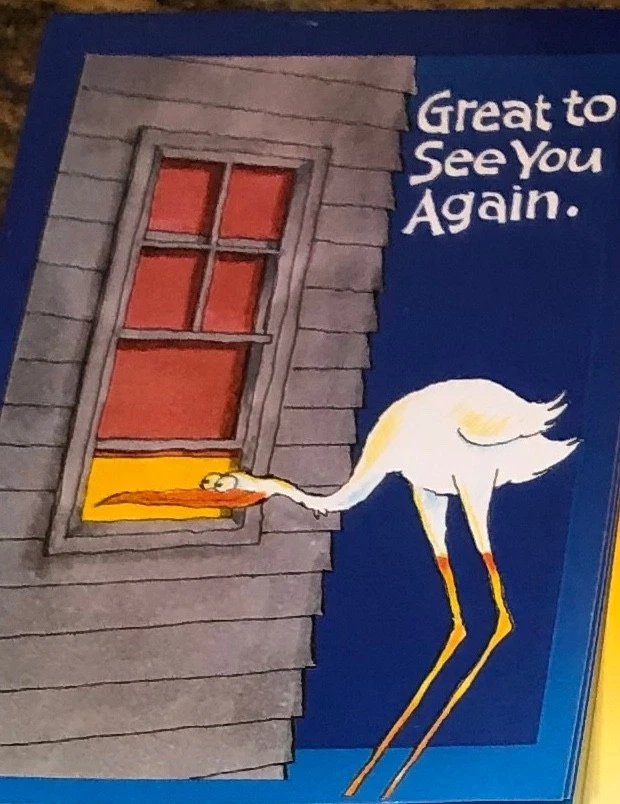 Postales - 12 Tarjetas - Cigüeña - GRANDE PARA VERTE DE NUEVO Foto 1 de 1