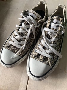 leopard converse size 6