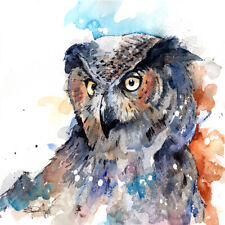 CANVAS Horned Owl by Sean Parnell 36x36 Watercolor Painting Print