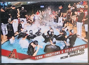 2019 Topps Opening Day Team Traditions & Celebrations Outfield Pool #TTC-OP - Bild 1 von 2